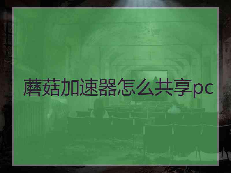 蘑菇加速器怎么共享pc