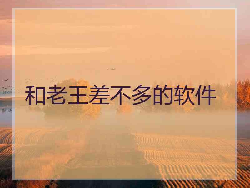 和老王差不多的软件