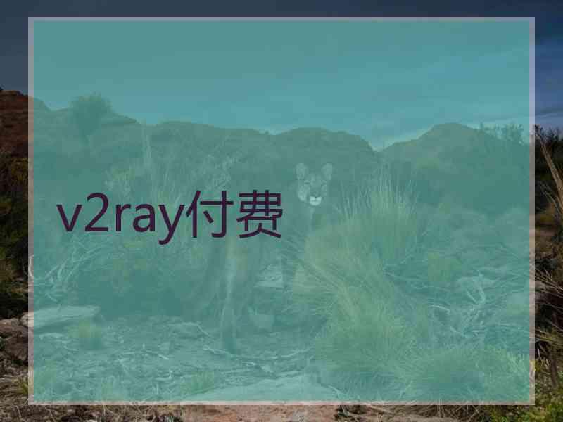 v2ray付费