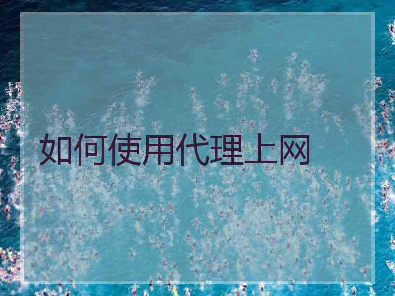 如何使用代理上网