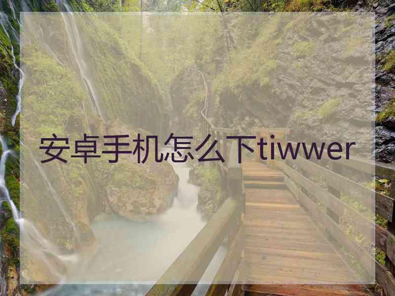 安卓手机怎么下tiwwer