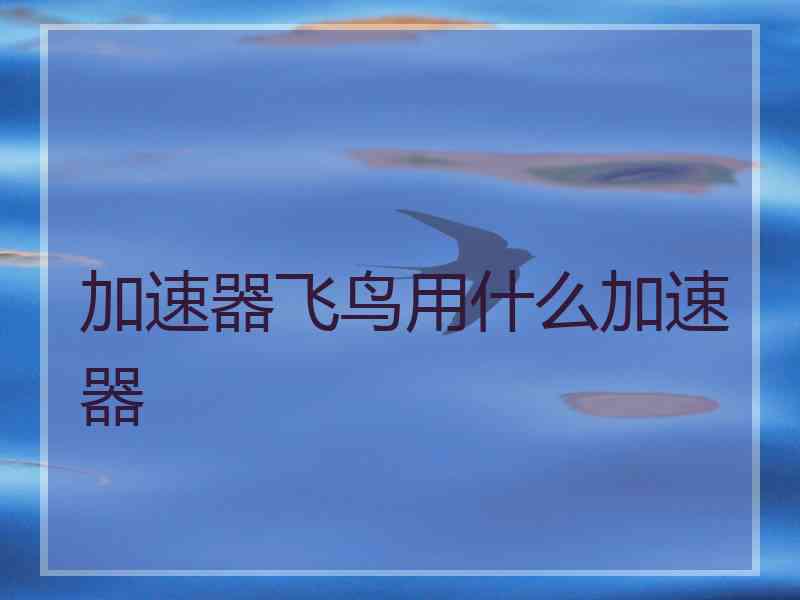 加速器飞鸟用什么加速器