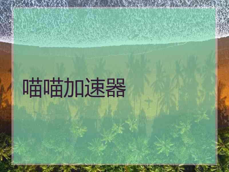 喵喵加速器