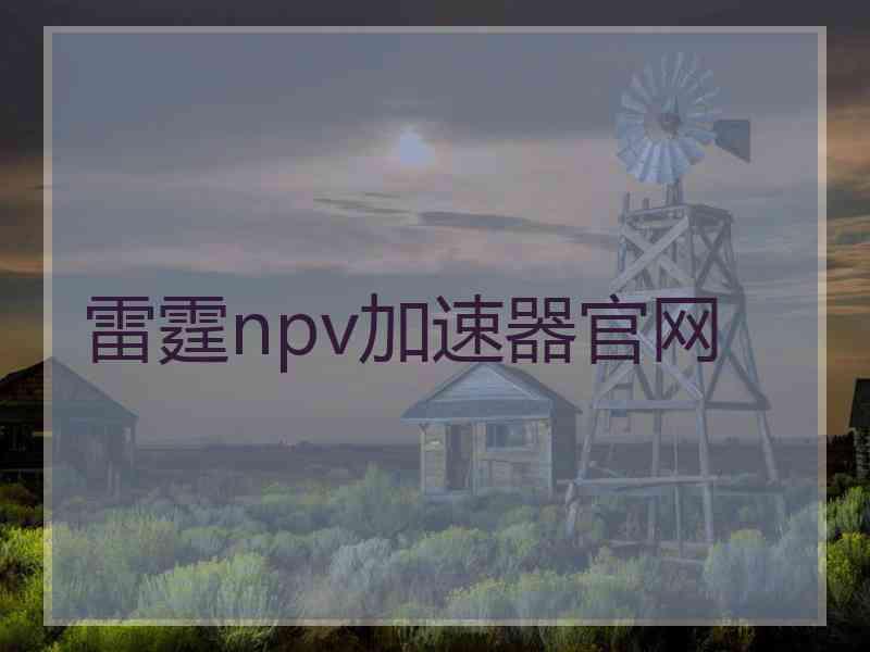 雷霆npv加速器官网