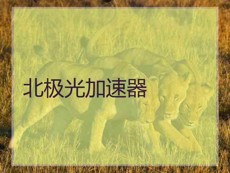 北极光加速器