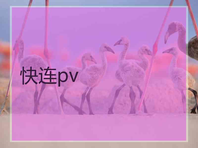 快连pv