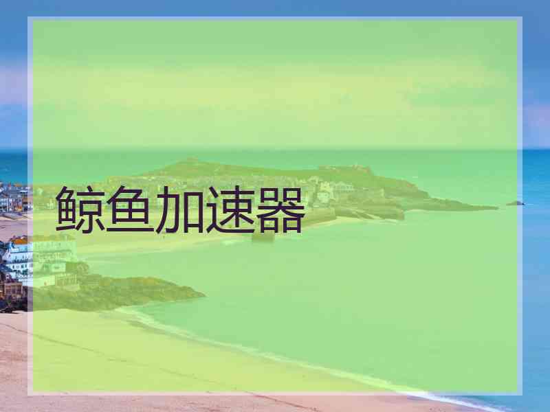 鲸鱼加速器