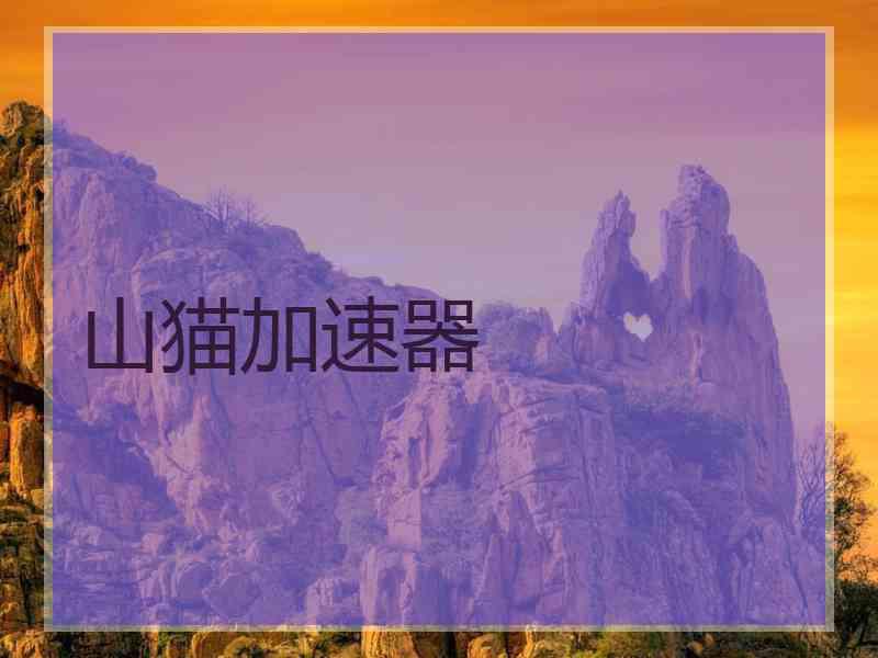 山猫加速器