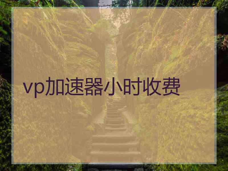 vp加速器小时收费
