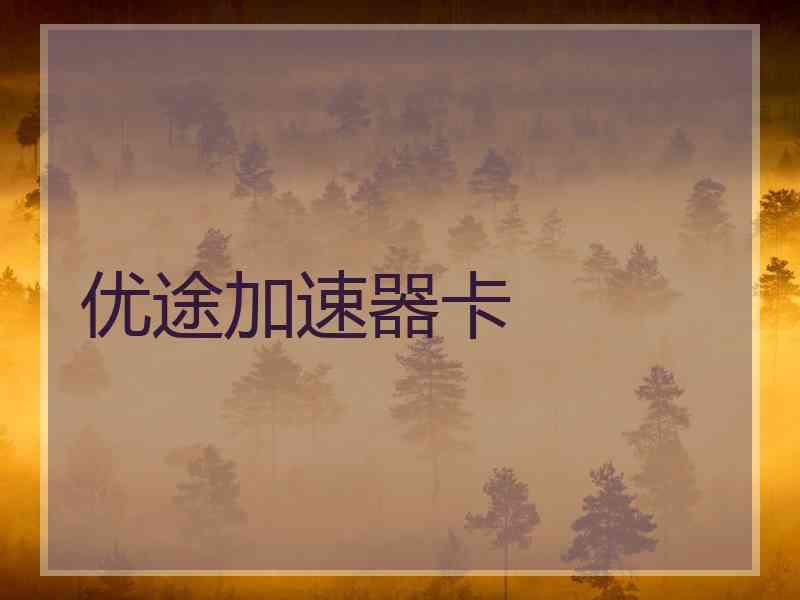 优途加速器卡