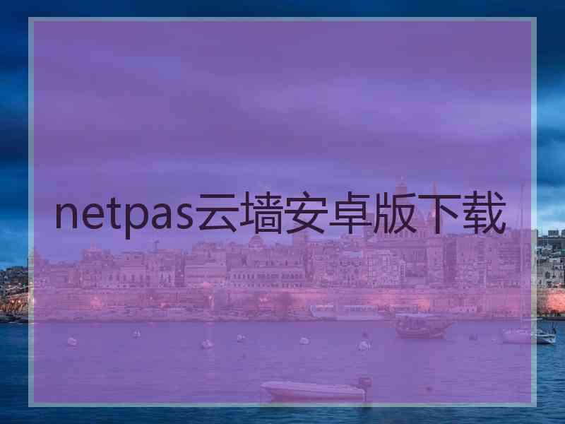 netpas云墙安卓版下载