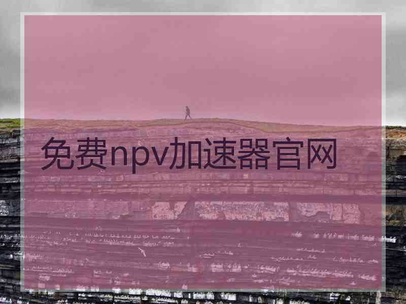 免费npv加速器官网