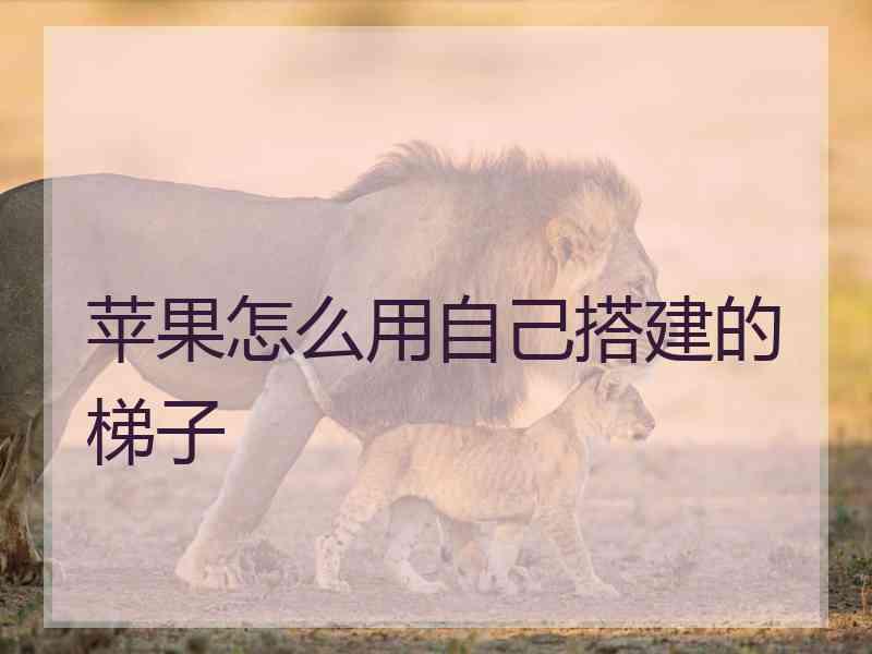 苹果怎么用自己搭建的梯子