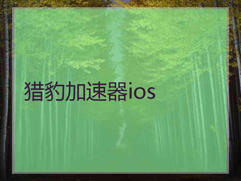 猎豹加速器ios