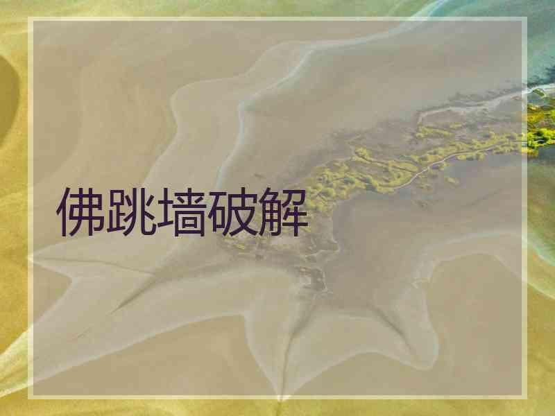 佛跳墙破解