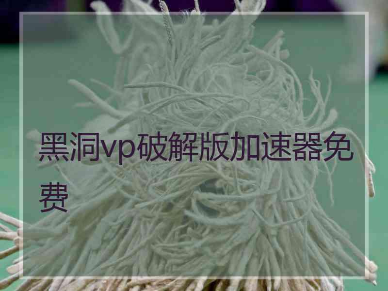 黑洞vp破解版加速器免费