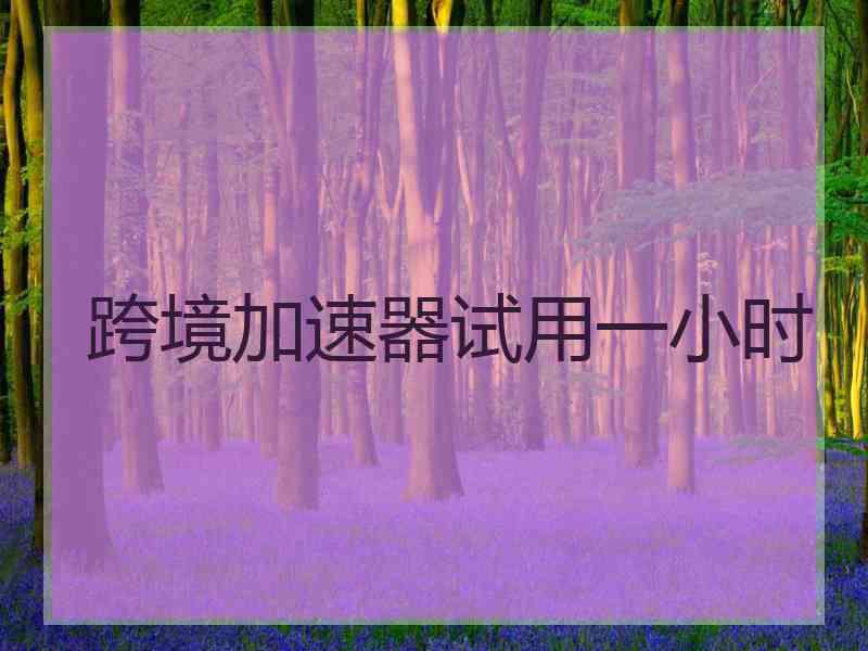 跨境加速器试用一小时