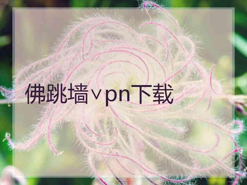 佛跳墙∨pn下载
