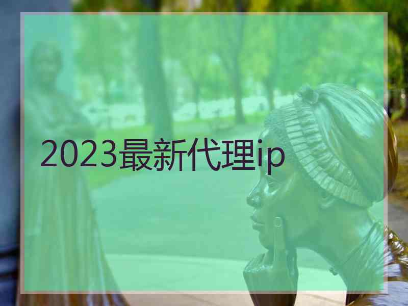 2023最新代理ip
