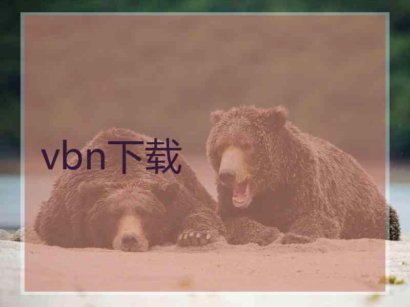 vbn下载