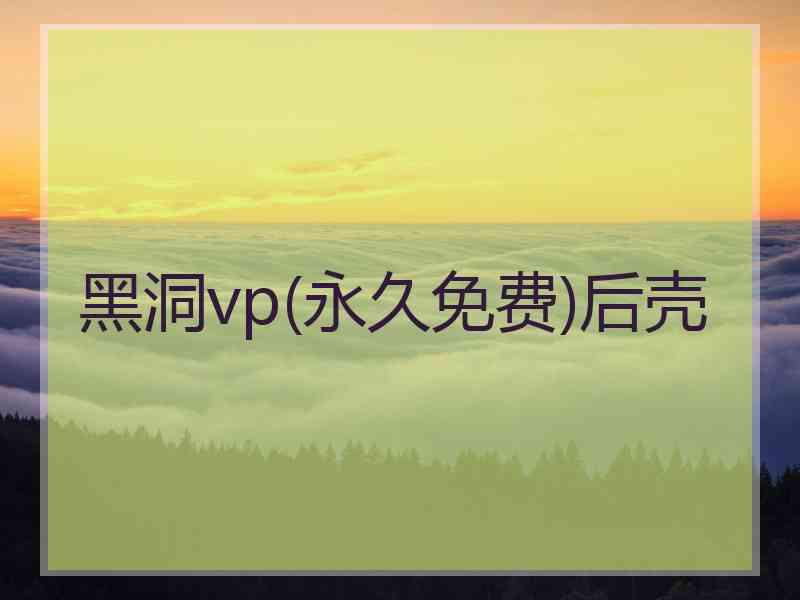 黑洞vp(永久免费)后壳