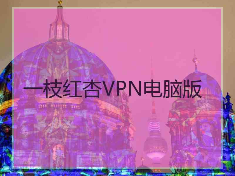 一枝红杏VPN电脑版