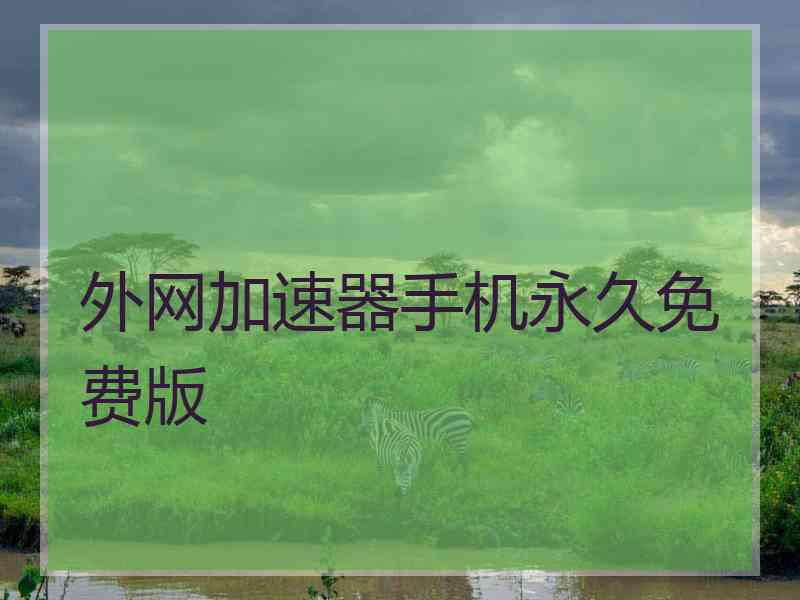 外网加速器手机永久免费版