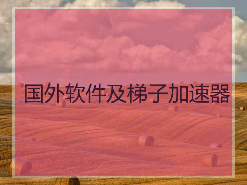 国外软件及梯子加速器