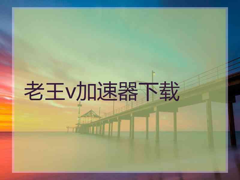 老王v加速器下载
