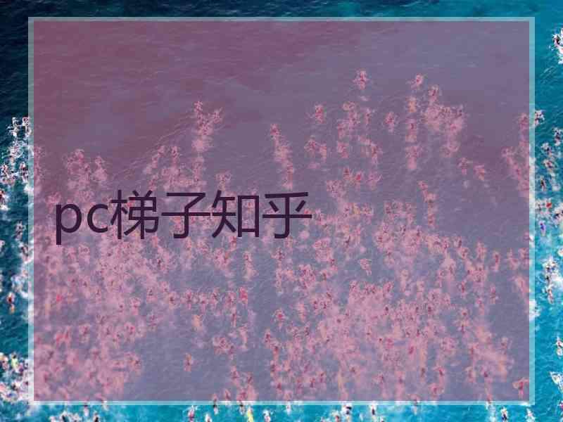 pc梯子知乎