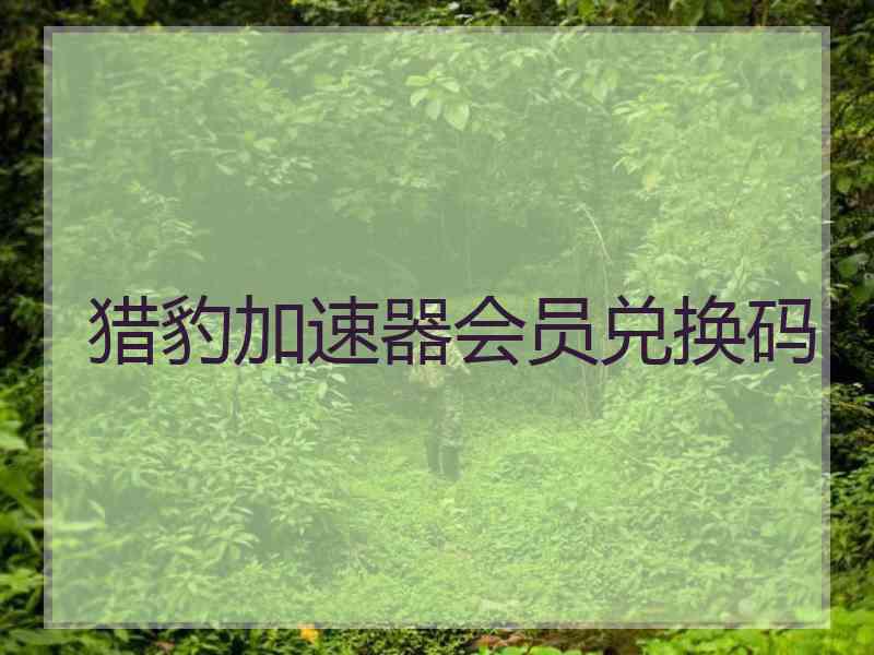 猎豹加速器会员兑换码