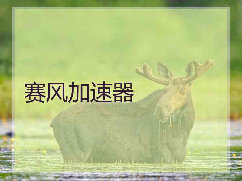赛风加速器