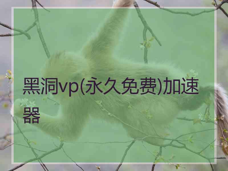 黑洞vp(永久免费)加速器