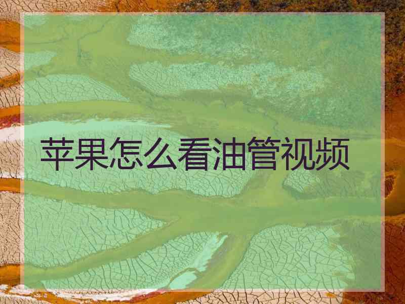 苹果怎么看油管视频