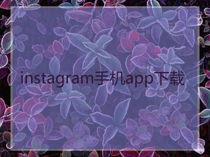 instagram手机app下载