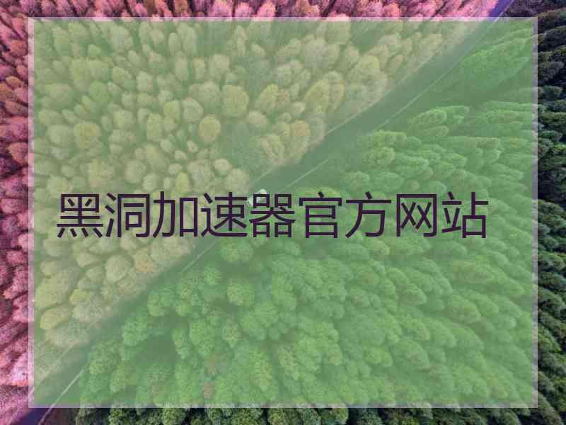 黑洞加速器官方网站