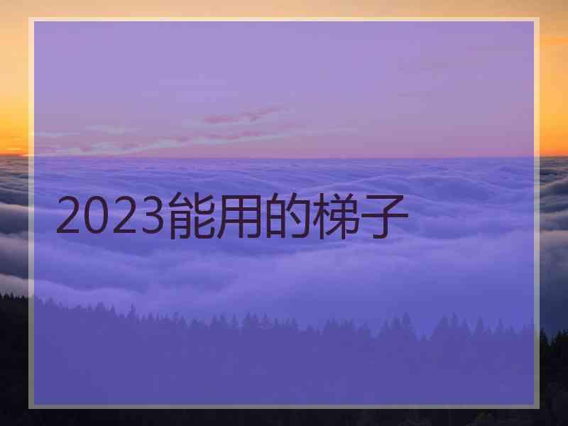 2023能用的梯子