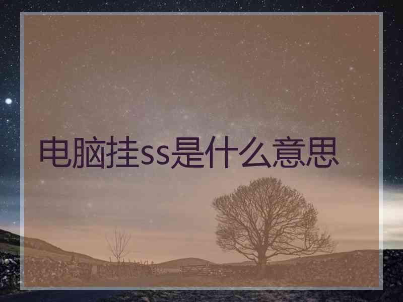 电脑挂ss是什么意思