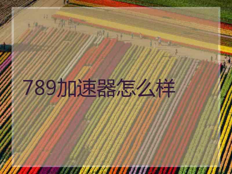 789加速器怎么样