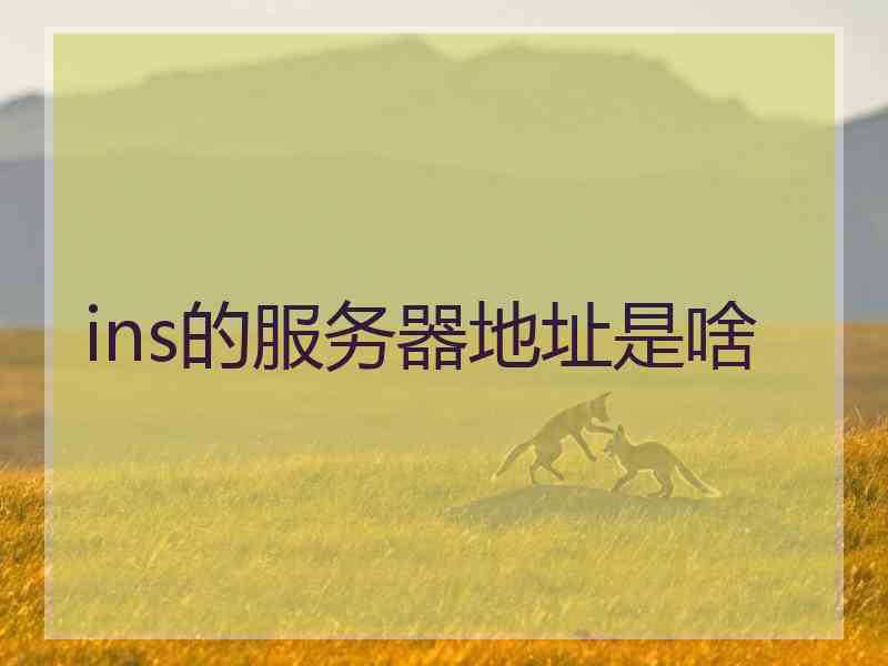 ins的服务器地址是啥