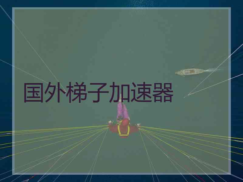 国外梯子加速器