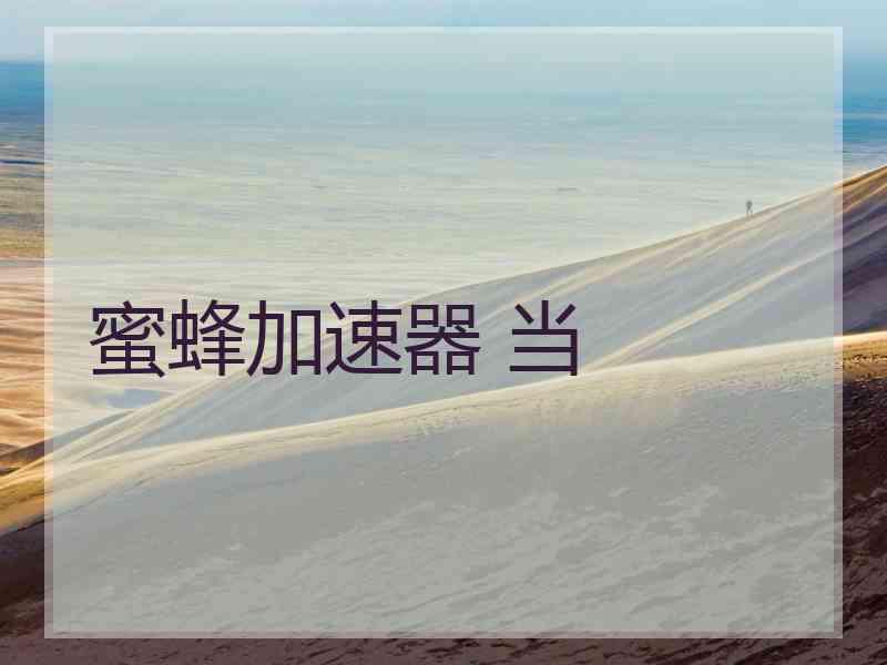 蜜蜂加速器 当