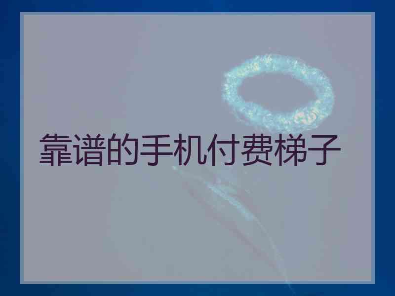 靠谱的手机付费梯子