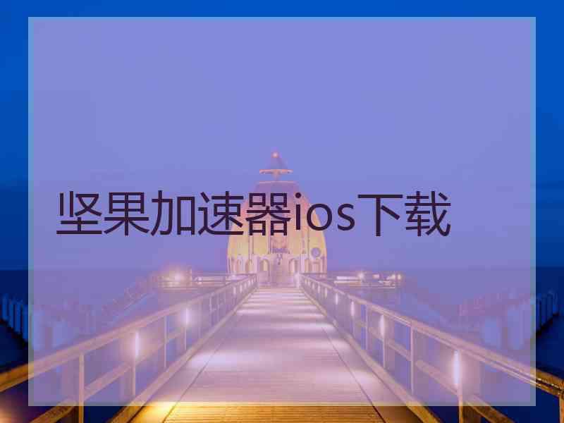 坚果加速器ios下载