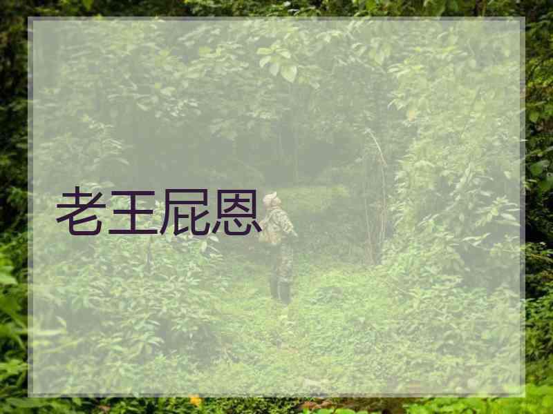 老王屁恩