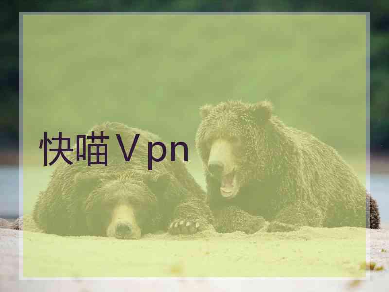 快喵Ⅴpn