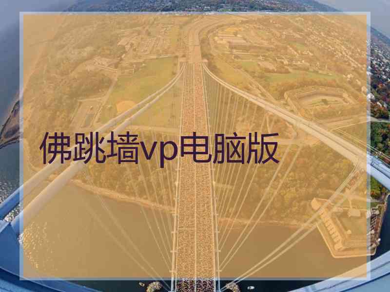 佛跳墙vp电脑版